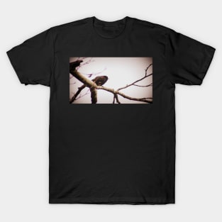 male red winged black bird in a tree T-Shirt